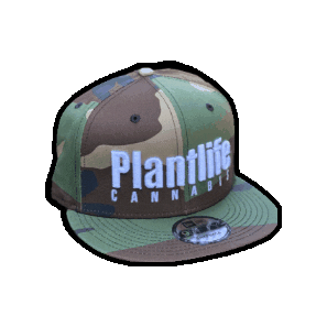 Plantlife Sticker