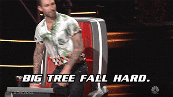 200.gif?cid=fc005b08c5cf849cc8014b89534d11a740fa5eb92152a512&rid=200.gif&ct=g