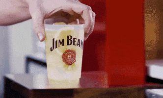whiskey bourbon GIF by JimBeam