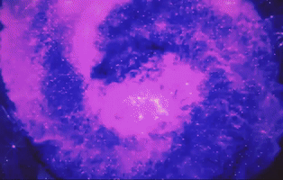 Gif Artist Sparkle GIF