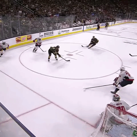 save stanley cup GIF