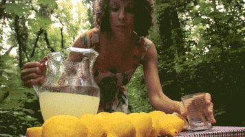 lemonade lemons GIF by Sophia Peer