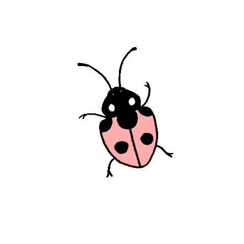 Lady Bug Sticker by Post Malone