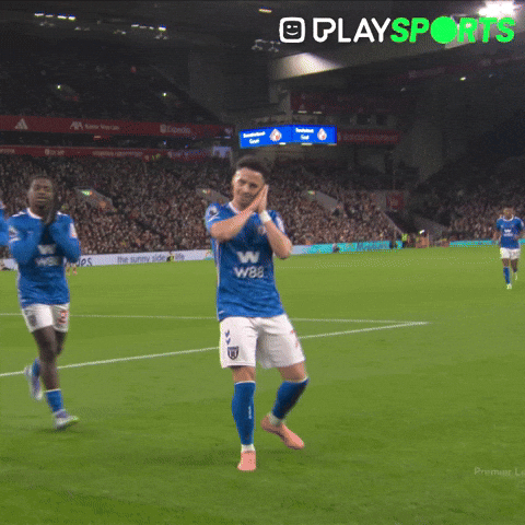 Premier League Football GIF by Play Sports