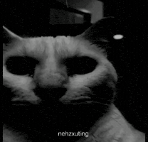 Shock Nightmare GIF