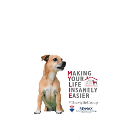 Dog Remax GIF by The MYLIE Group Real Estate Team