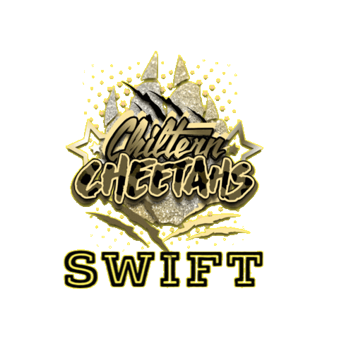 Cheerleading Sticker by Chiltern Cheetahs