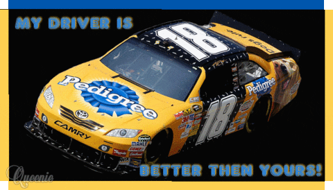 kyle busch