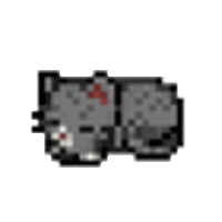 Cat Sticker