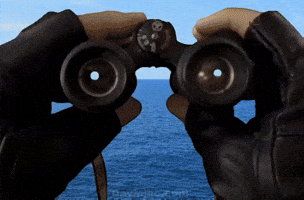 Sea Island GIF