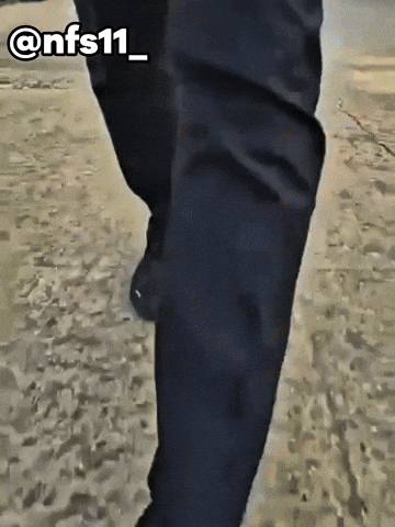 Rai 1 GIF