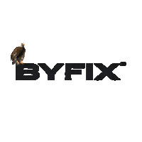 Byfix Sticker by ByFixStore