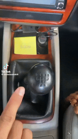 Vats GIF