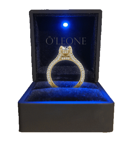 oleone jewelry Sticker