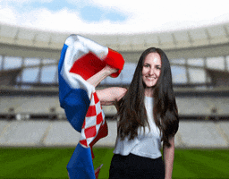Celebrate Croatia Football GIF by Jake Martella