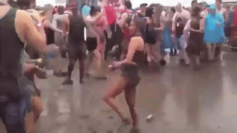 Festival GIF - Find & Share on GIPHY