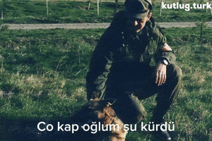 Beyaz Toros GIF