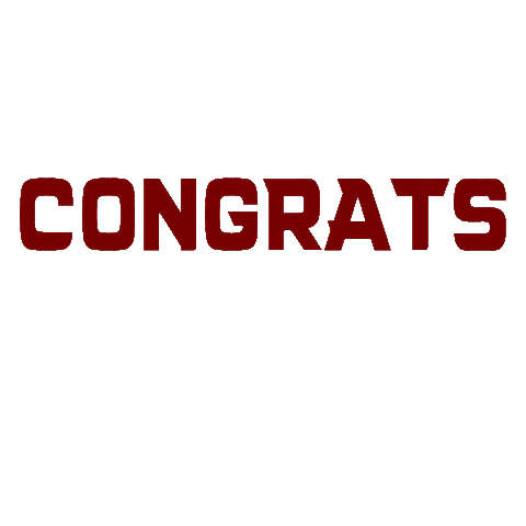 Florida Tech Athletics Sticker