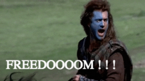 free freedom GIF - free freedom GIF