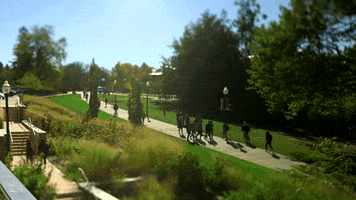 GIF by UMass Amherst