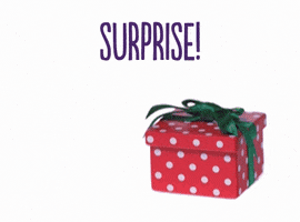 Christmas Surprise GIF by TELUS