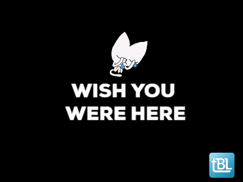 Wish You Were Here Cre Gif By Thebrokerlist Find Share On Giphy