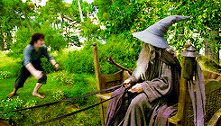 Lord Of The Rings Hobbits GIF by Box Office