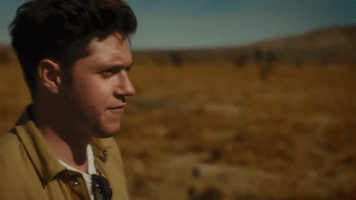 niall horan GIF by NOW That's Music