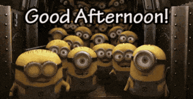 Good Afternoon GIFs - Find & Share on GIPHY