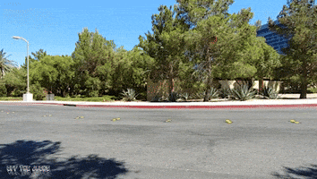 200.gif?cid=fc005b080c37020cb0c4760229e9bb41c0700b5df5e4edd4&rid=200.gif&ct=g
