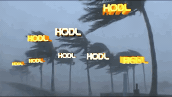 Winds GIF