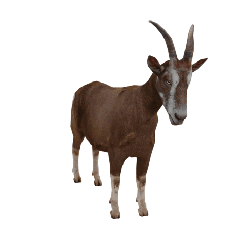 Goat Sticker