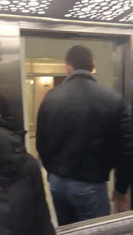 Surprise Wow GIF