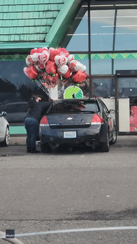 Woman Drives With Huge Bunch Of Valentine's Day Balloons Hanging Outside Car