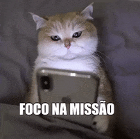 Cat GIF