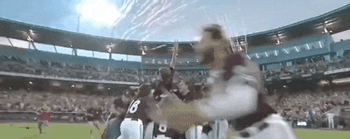 College World Series Baseball GIF by NCAA Championships