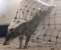 Dog Lay Down GIF by DevX Art