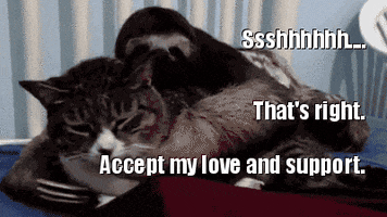 support love GIF