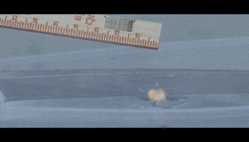 200.gif?cid=fc005b0850f7b361565c44626efd155fce6244c8f243246c&rid=200.gif&ct=g