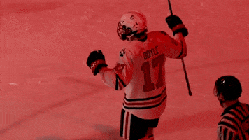 Northeastern Athletics GIF