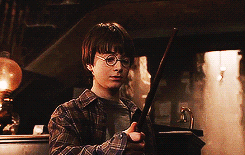 Harry Potter : l'élu involontaire - Conseils d'experts Fnac