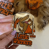 Wiener Dog Pizza GIF by beangoods