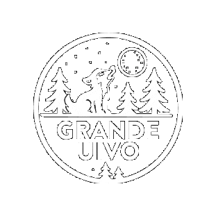 Grandeuivo Sticker by Comunicação Núcleo de Braga