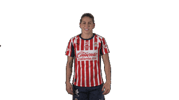 Liga Mx Futbol Sticker by Chivas Oficial