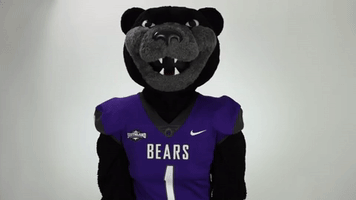 bearclawsup bearcountry GIF by University of Central Arkansas