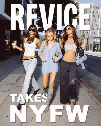 Revice GIF