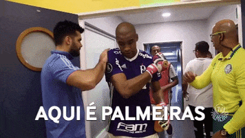 jailson GIF by SE Palmeiras