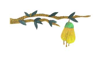 Kowhai Treebranch Sticker