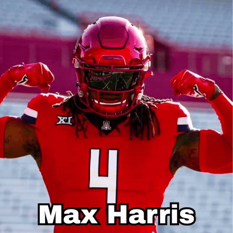Arizona Football GIF