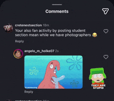 Angeloholke GIF